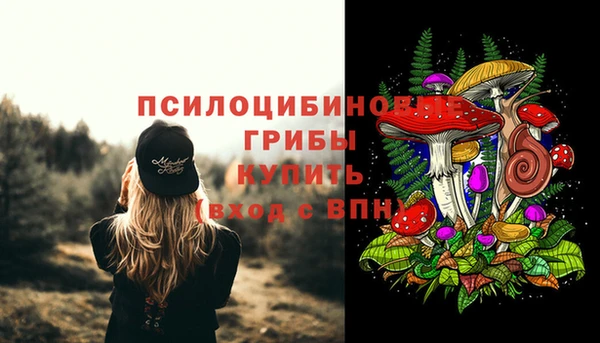 ГАЛЛЮЦИНОГЕННЫЕ ГРИБЫ Бородино